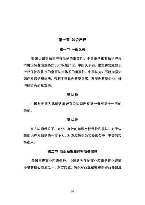 中美簽署技術(shù)轉(zhuǎn)讓與知識(shí)產(chǎn)權(quán)協(xié)議 新框架下的合作與挑戰(zhàn)